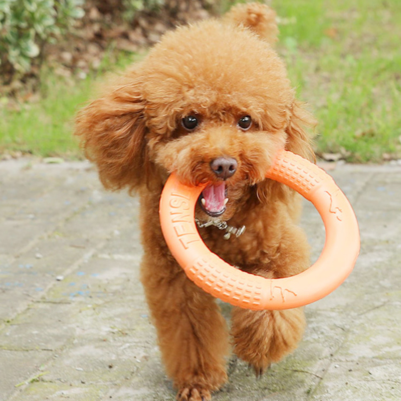 1pc Orange Dog Toys Pet Flying - Indestructible Dog Chew Toy 评论和价格