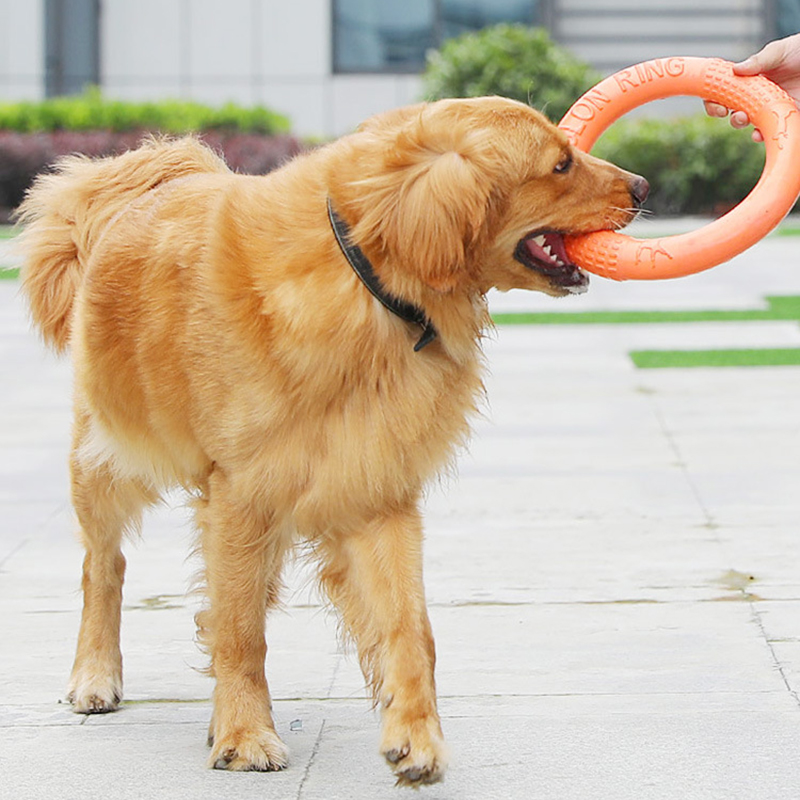 1pc Orange Dog Toys Pet Flying - Indestructible Dog Chew Toy 评论和价格