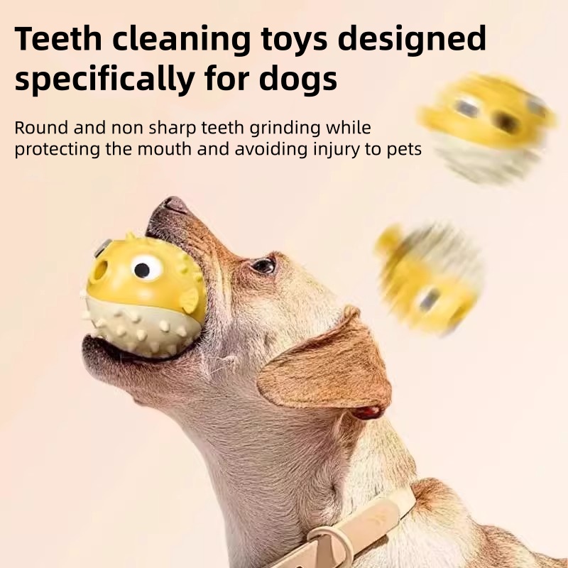 Interactive Bouncing Fish Trea - Rubber Treat Dispensing Dog Toy 评论和价格