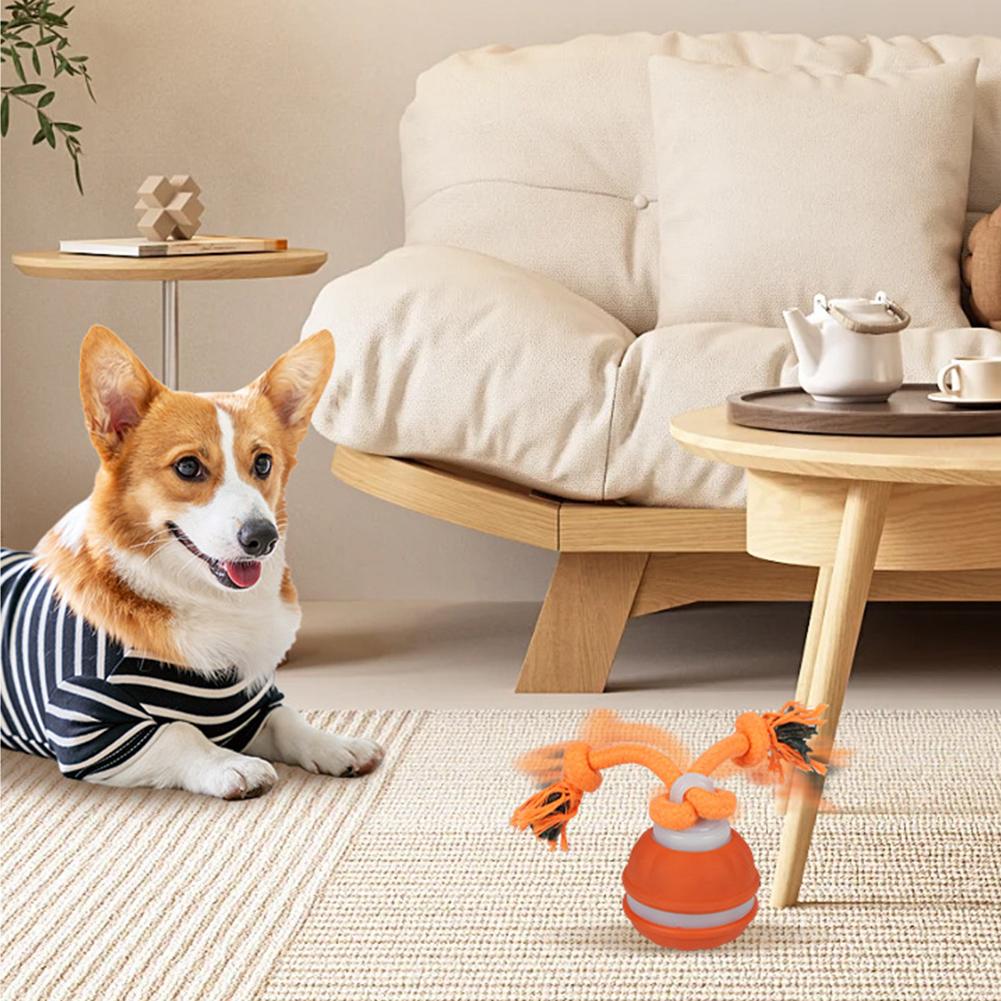Pet Ball for Dogs Interactive  - Automatic Moving Dog Ball 评论和价格