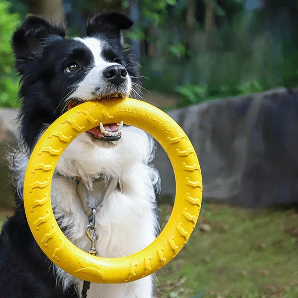 Medium Big Dog Training Ring P - Suction Cup Dog Tug Toy 评论和价格