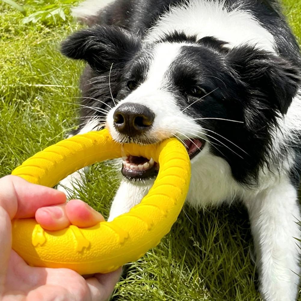 Medium Big Dog Training Ring P - Suction Cup Dog Tug Toy 评论和价格