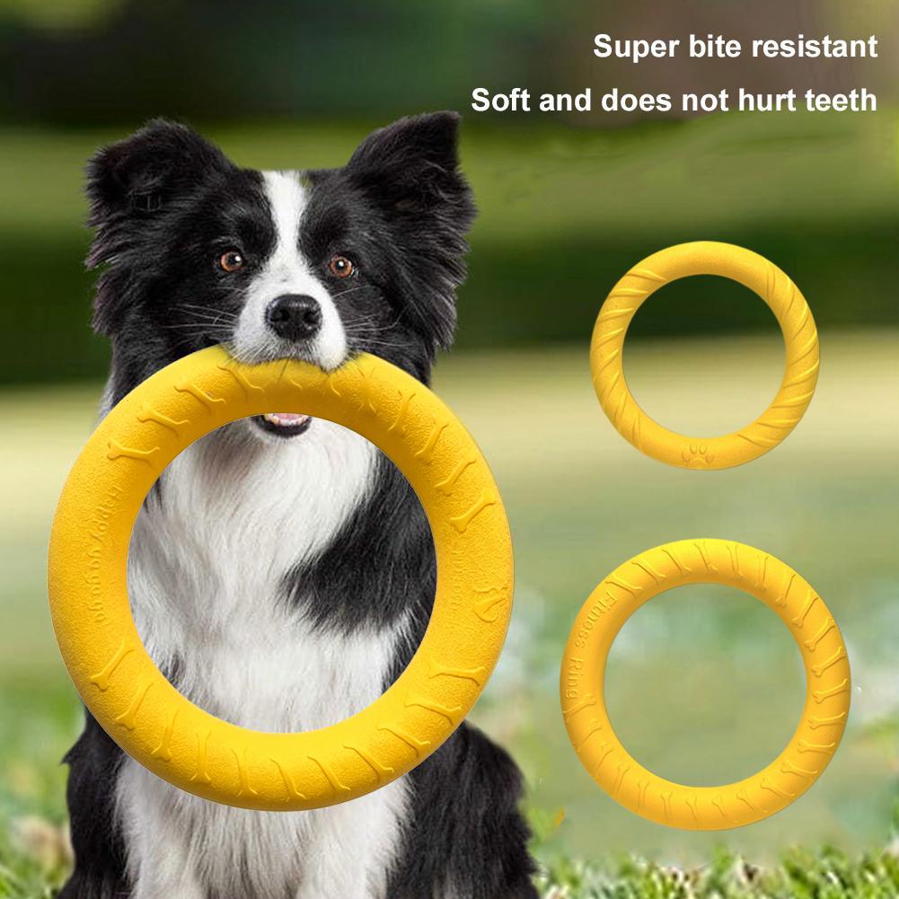 Medium Big Dog Training Ring P - Suction Cup Dog Tug Toy 评论和价格