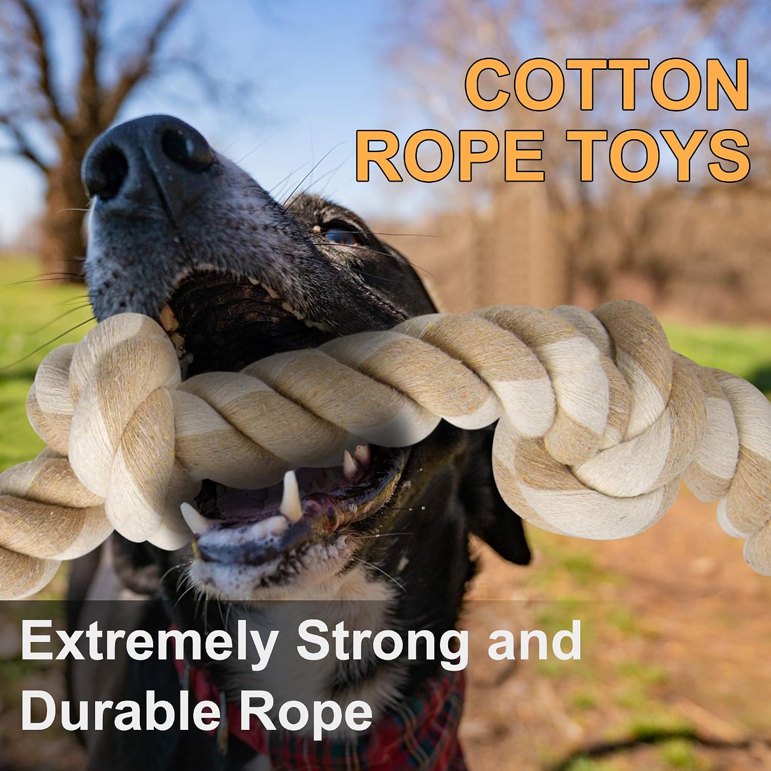 Durable Rope Chew Toys for Agg - Dog Rope Toy Aggressive Chewers 评论和价格