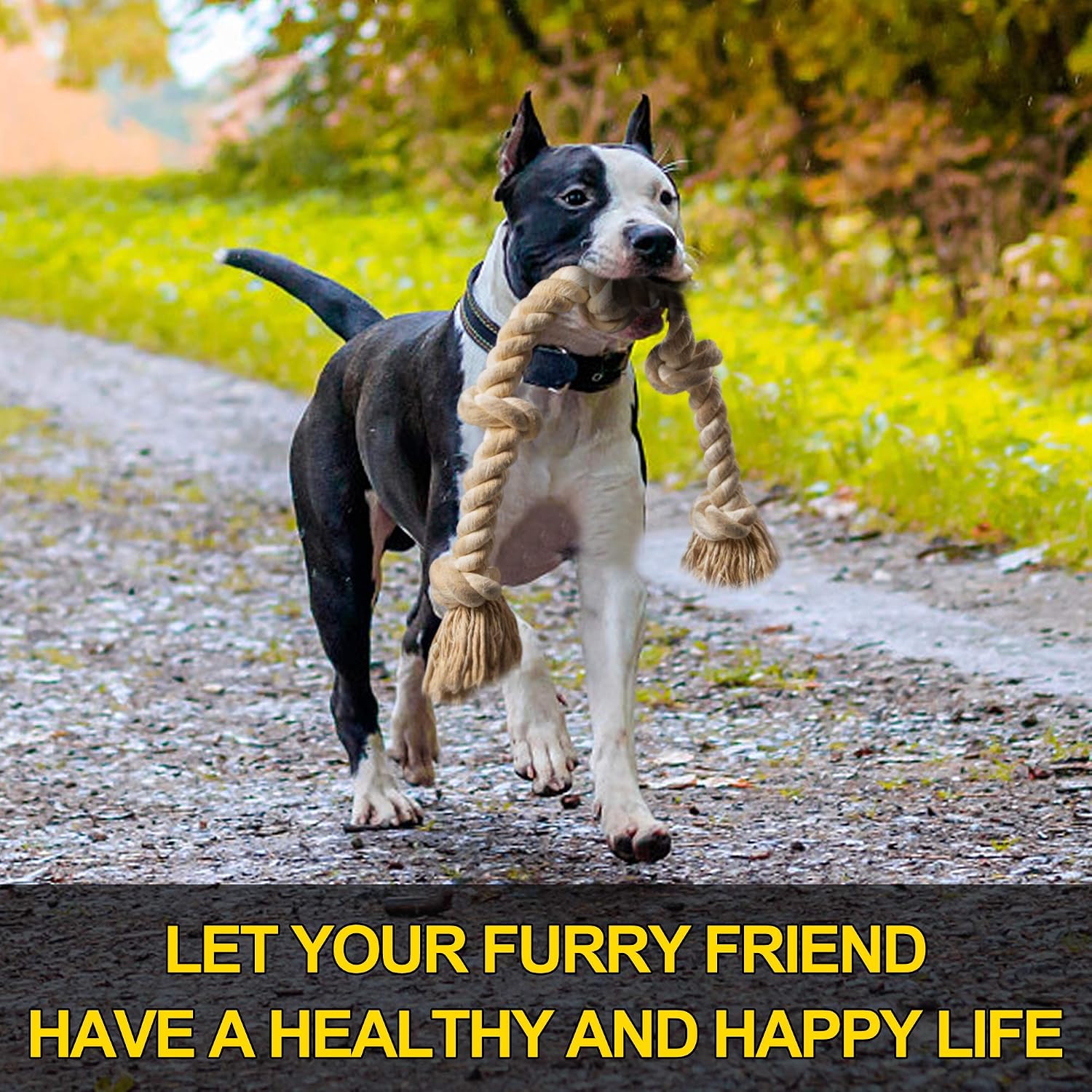 Durable Rope Chew Toys for Agg - Dog Rope Toy Aggressive Chewers 评论和价格