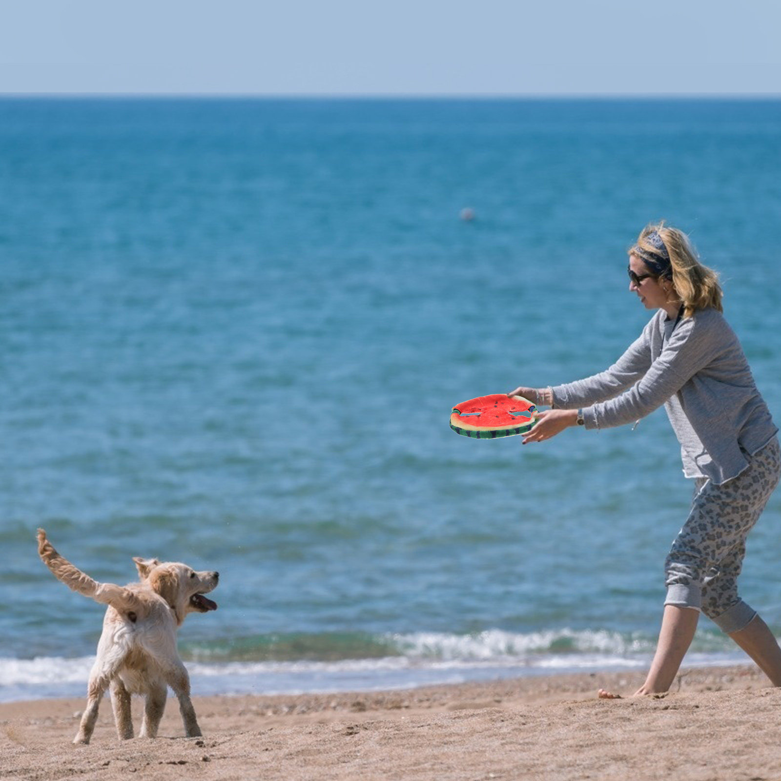 Dog Flying Disc Floating Water - Flying Disc Dog Training Toy 评论和价格