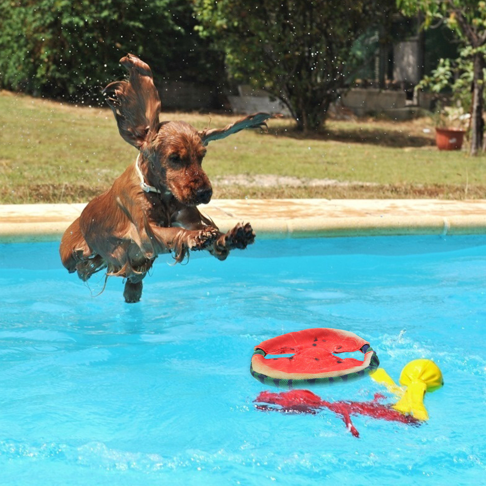 Dog Flying Disc Floating Water - Flying Disc Dog Training Toy 评论和价格