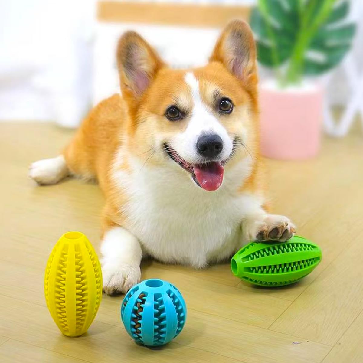 Pet Dog Chew Toys Teeth Cleani - Indestructible Dog Chew Toy 评论和价格