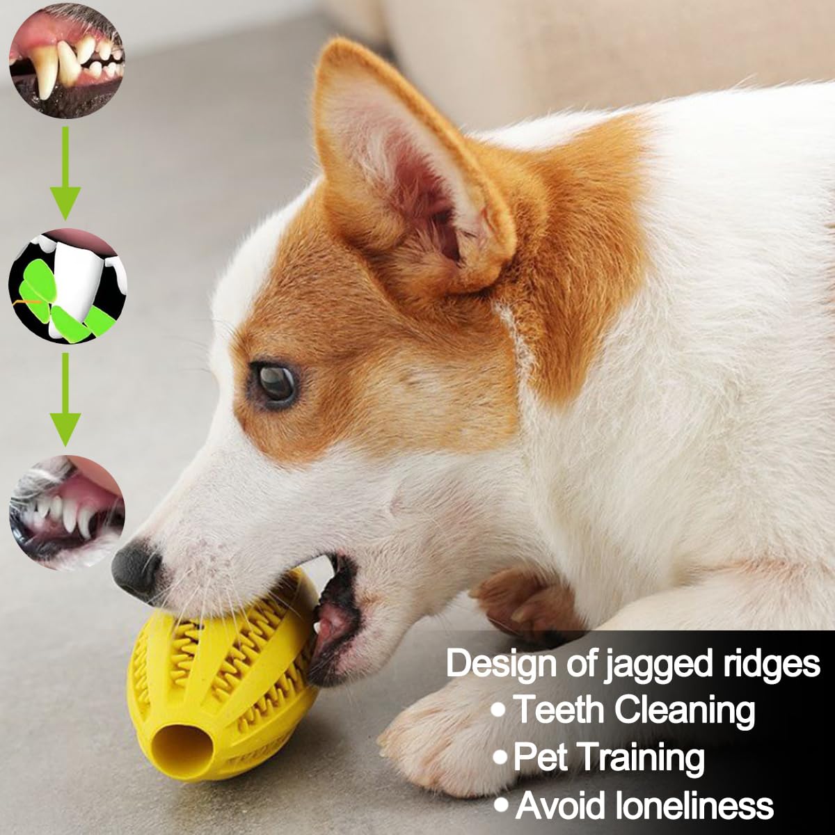 Pet Dog Chew Toys Teeth Cleani - Indestructible Dog Chew Toy 评论和价格