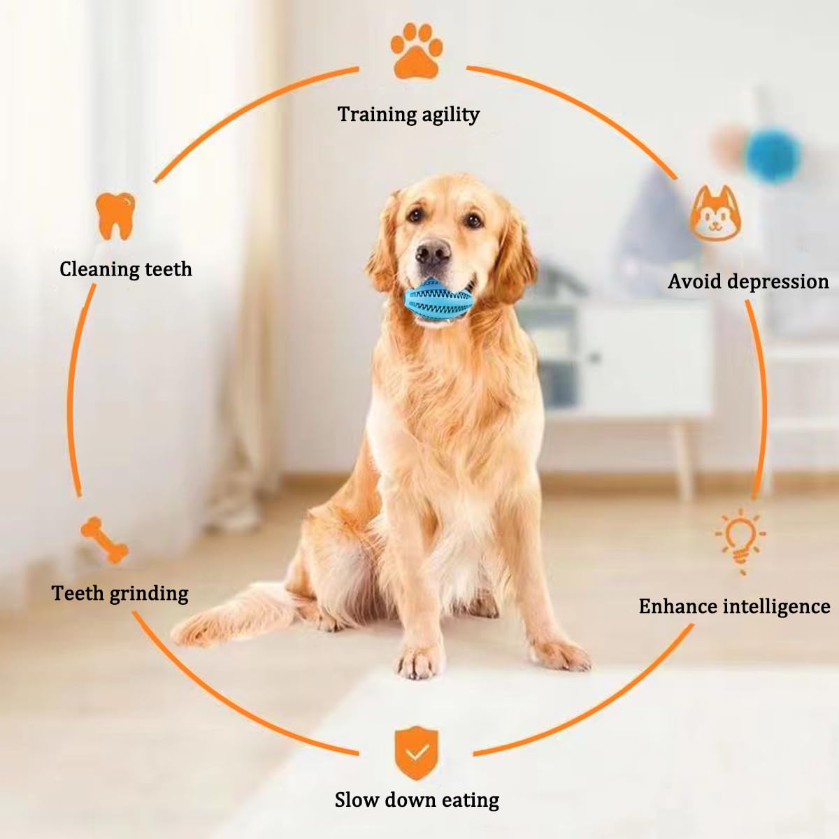 Pet Dog Chew Toys Teeth Cleani - Indestructible Dog Chew Toy 评论和价格