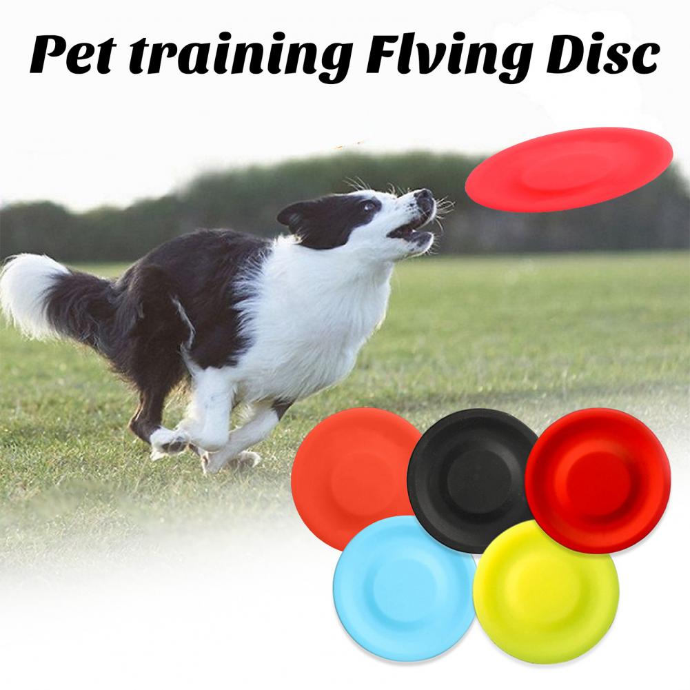 Pet Dog Flying Disk Toy，Silica - Flying Disc Dog Training Toy 评论和价格