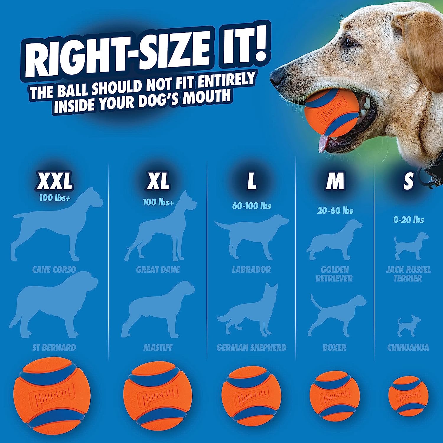 Chuckit Ultra Ball Dog Toy - Indestructible Dog Chew Toy 评论和价格