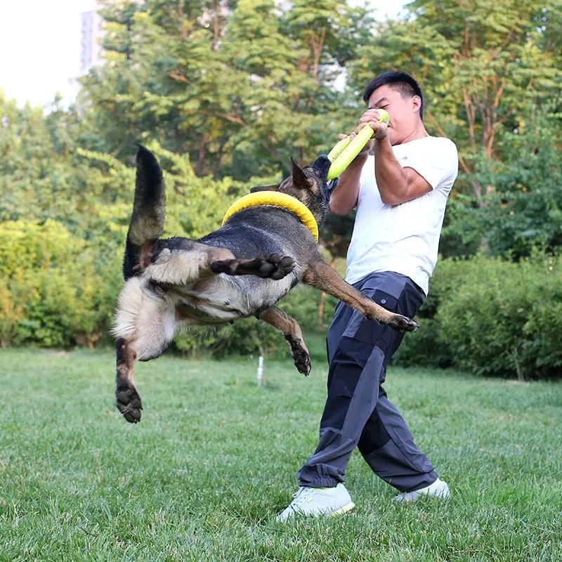Dog Toys Pet Flying Discs EVA  - Indestructible Dog Chew Toy 评论和价格