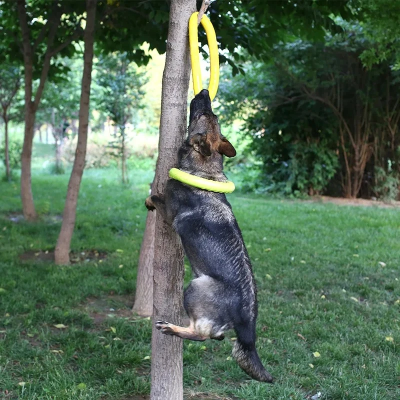 Dog Toys Pet Flying Discs EVA  - Indestructible Dog Chew Toy 评论和价格