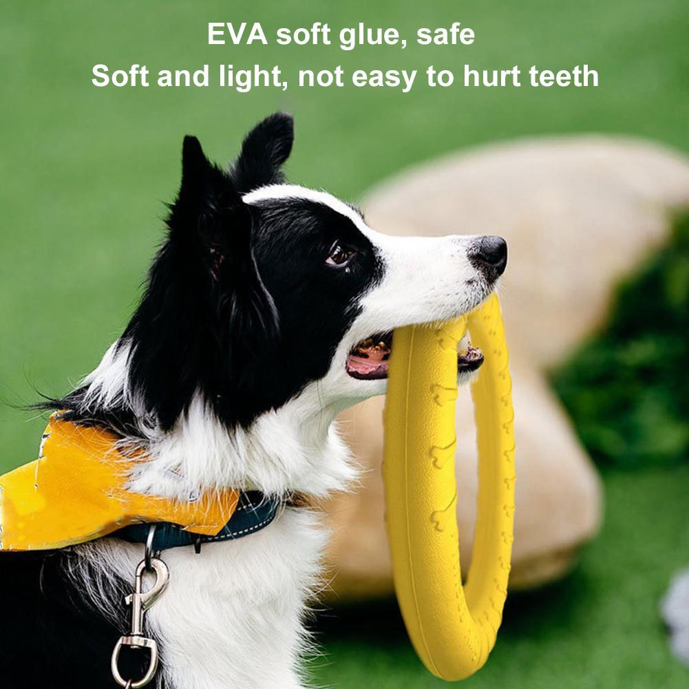 Dog Ring Toys Indestructible C - Indestructible Dog Chew Toy 评论和价格